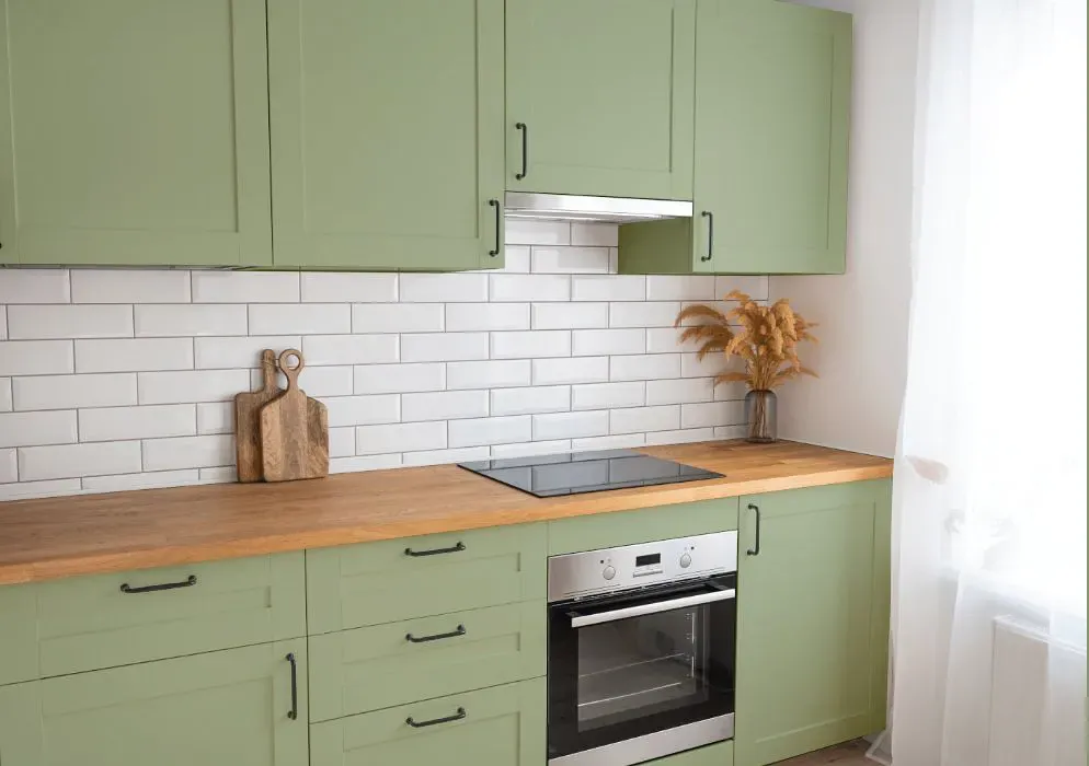 Benjamin Moore Sherwood Green kitchen cabinets