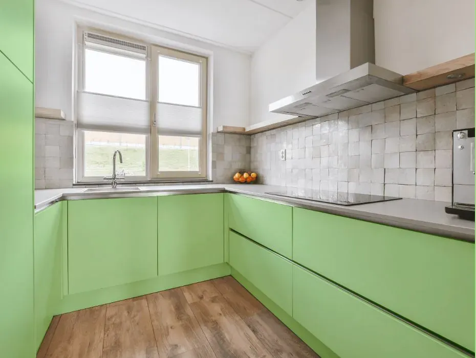 Benjamin Moore Shimmering Lime small kitchen cabinets