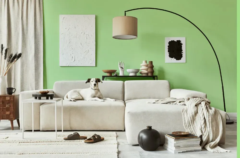 Benjamin Moore Shimmering Lime cozy living room