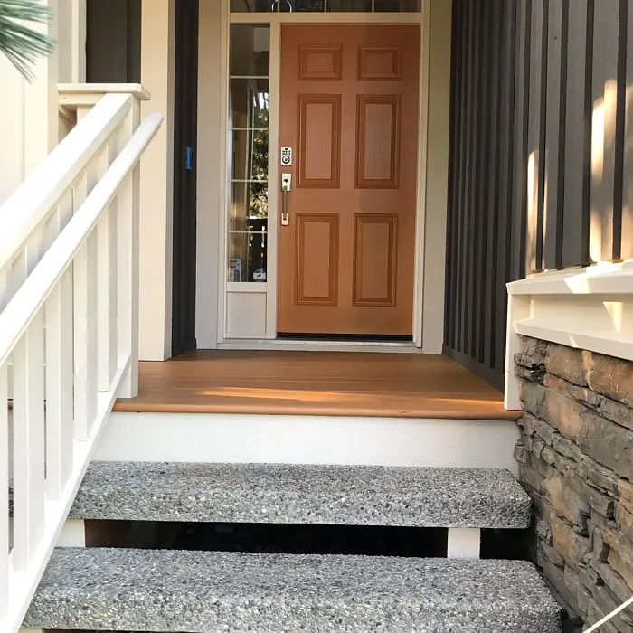 Benjamin Moore Silhouette house exterior color review