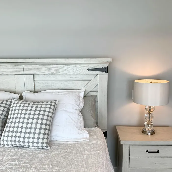 Benjamin Moore Silver Chain bedroom color