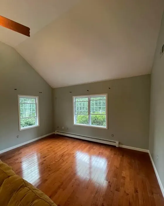 Silver Marlin living room paint review