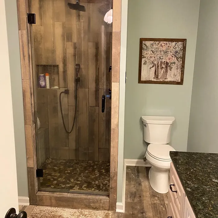 Benjamin Moore Silver Marlin bathroom review