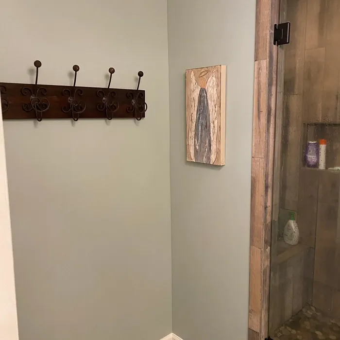 Benjamin Moore Silver Marlin bathroom photo