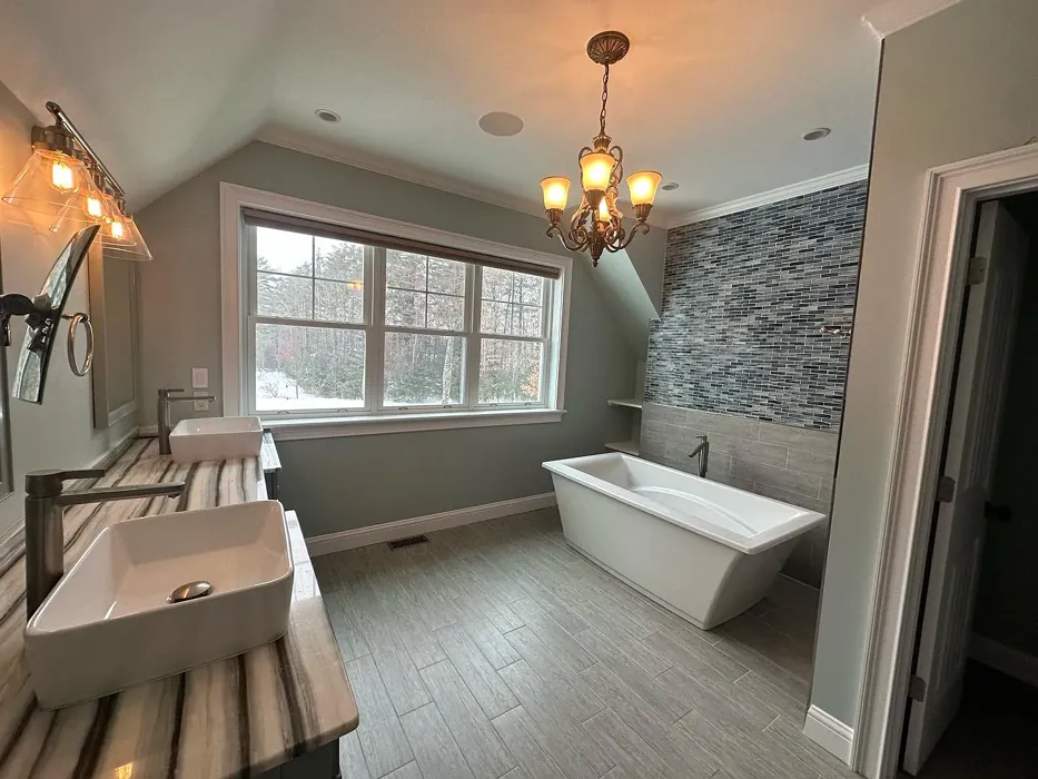 Silver Marlin bathroom paint