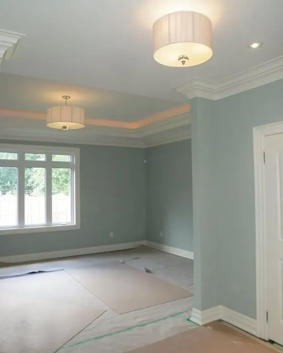 Benjamin Moore Silver Marlin wall paint color