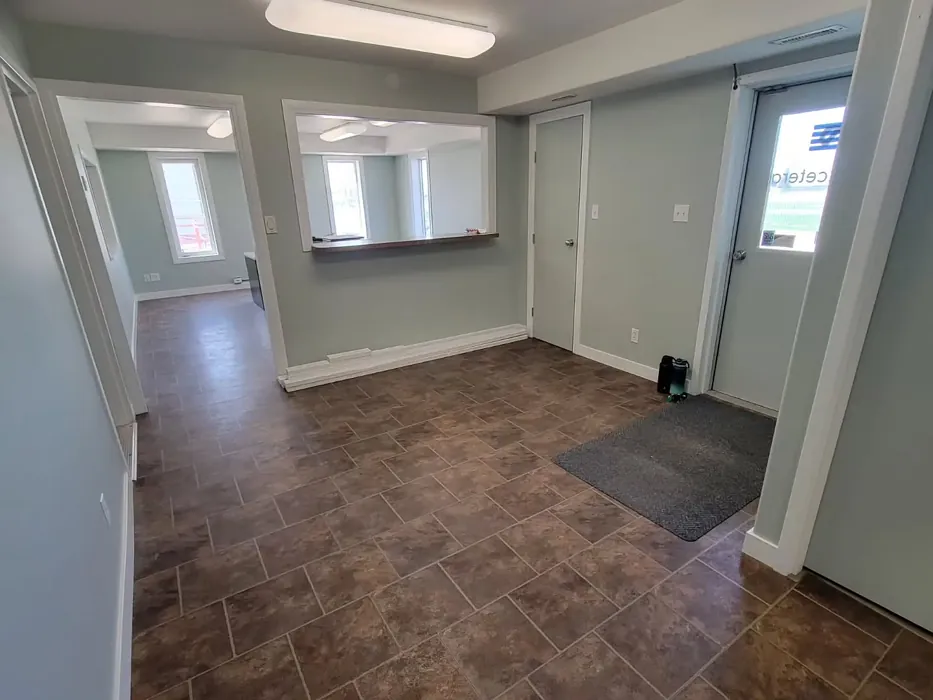 Benjamin Moore Silver Marlin hallway color review