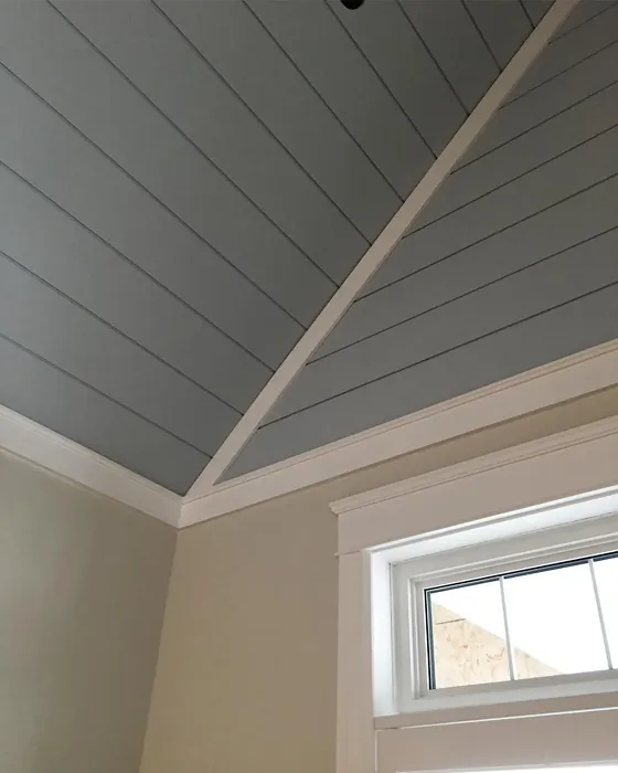Benjamin Moore Silver Mist ceiling color review