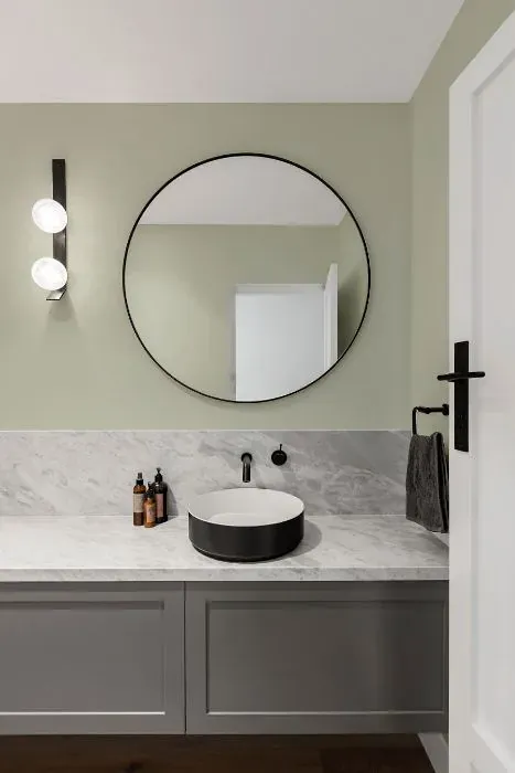 Benjamin Moore Silver Sage minimalist bathroom