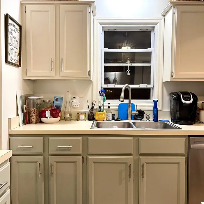 Silver Sage kitchen cabinets paint review