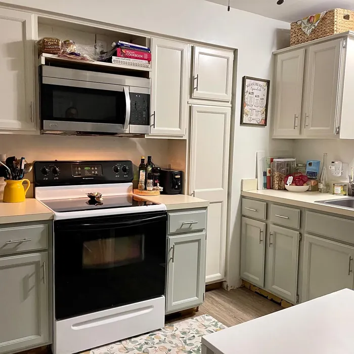 Silver Sage kitchen cabinets review