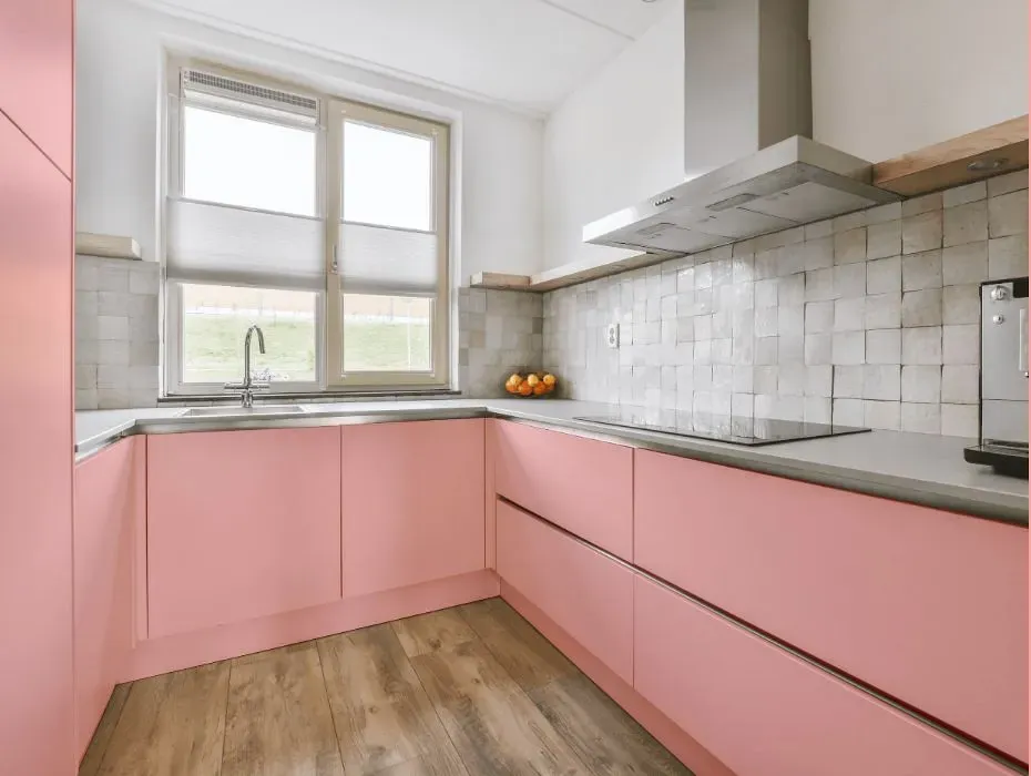 Benjamin Moore Smashing Pink small kitchen cabinets