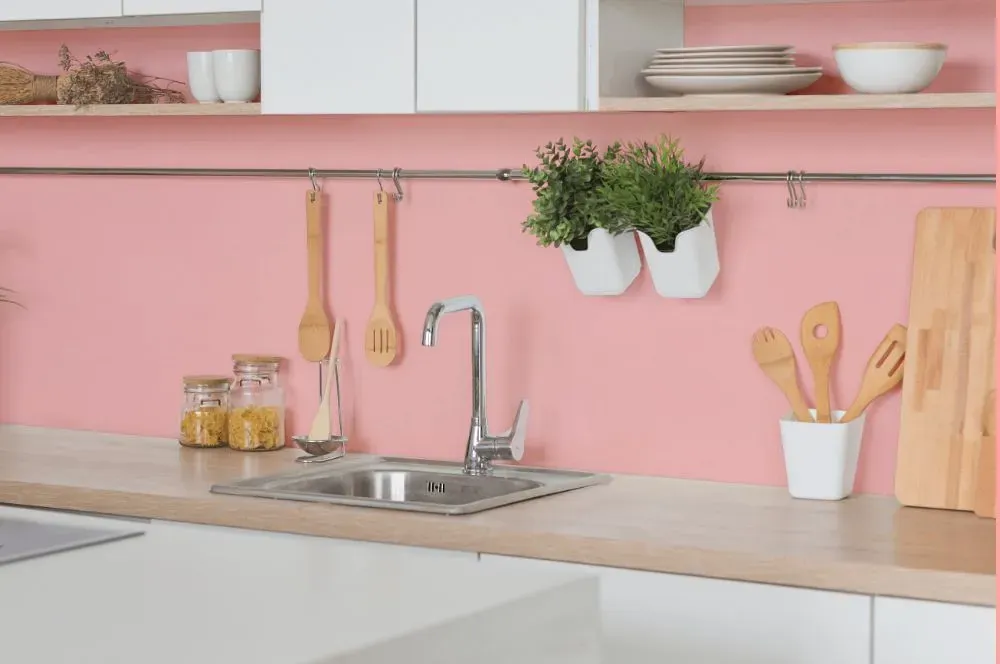 Benjamin Moore Smashing Pink kitchen backsplash