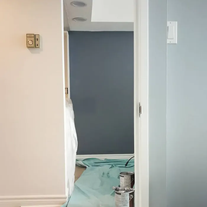 Smoke Gray accent wall 