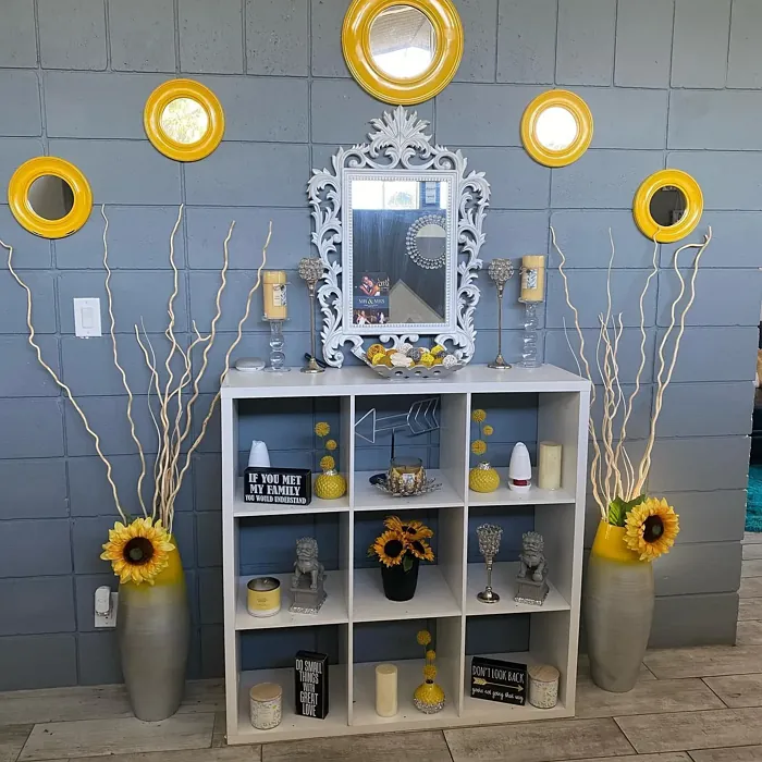 Benjamin Moore Smoke Gray wall paint 