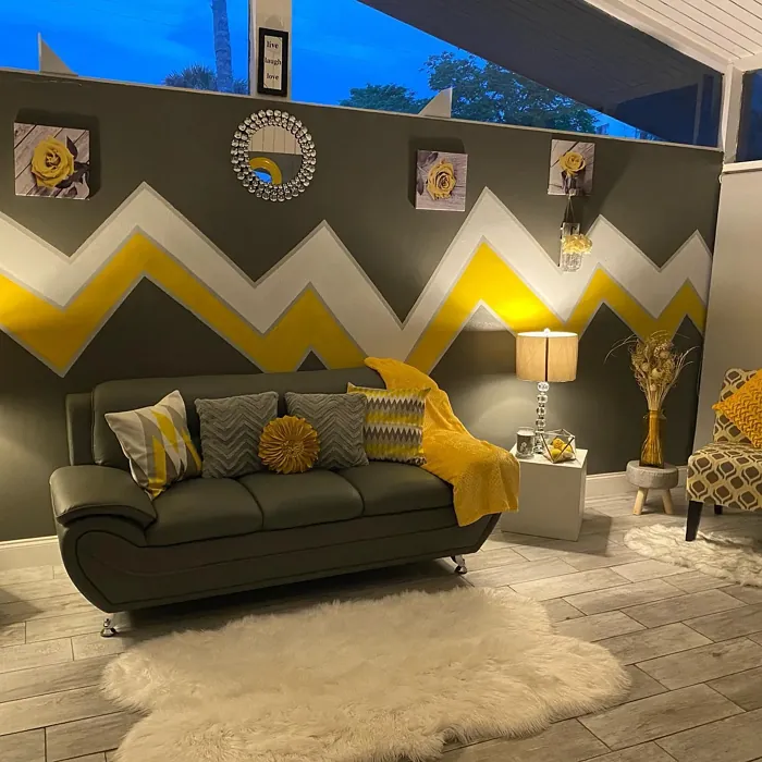 Benjamin Moore Smoke Gray wall paint review