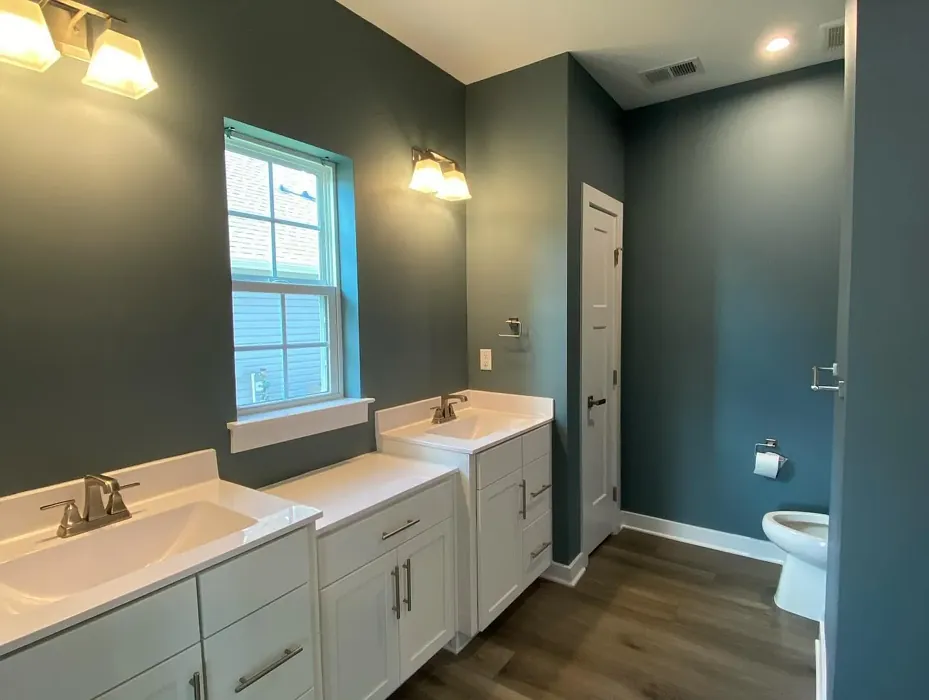 Benjamin Moore Smokestack Gray bathroom paint