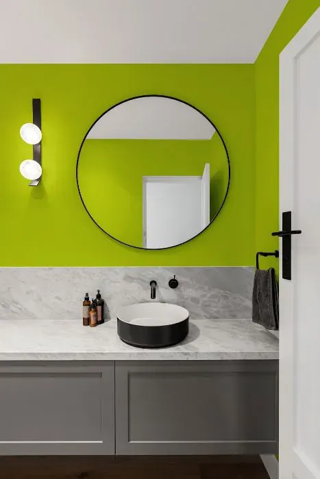 Benjamin Moore Snow Cone Green minimalist bathroom