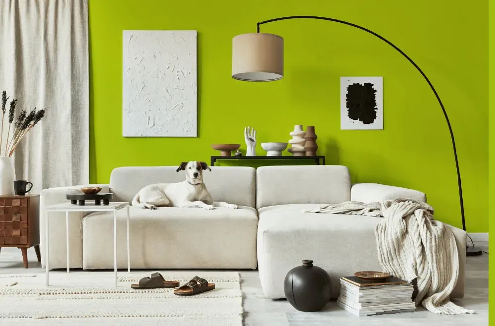 Benjamin Moore Snow Cone Green cozy living room