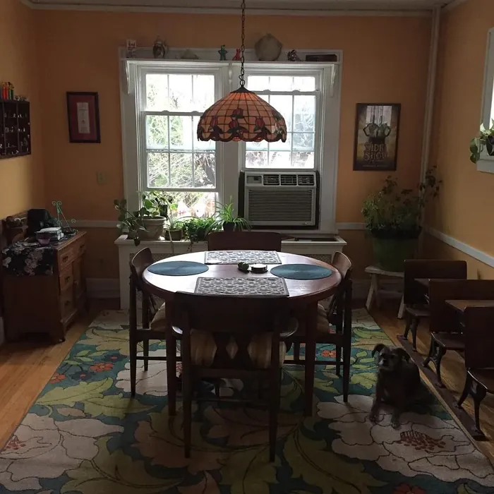 Benjamin Moore Soft Marigold dining room color