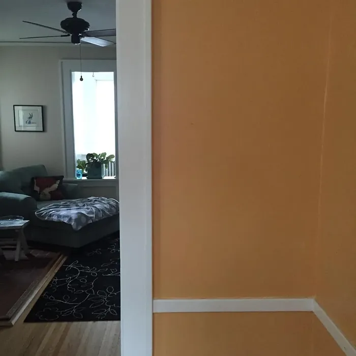 Benjamin Moore Soft Marigold wall paint 