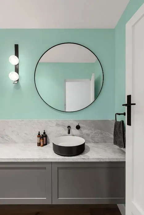 Benjamin Moore Soft Mint minimalist bathroom
