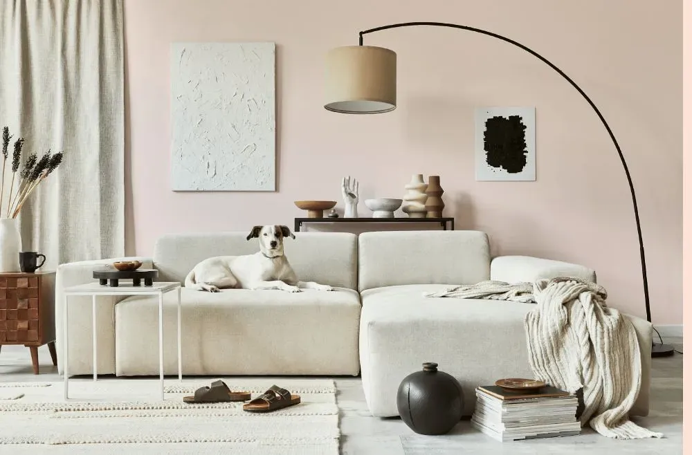 Benjamin Moore Soft Pink cozy living room