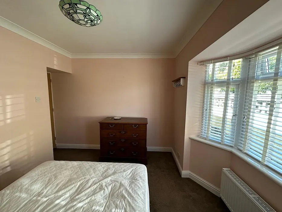 Benjamin Moore Soft Shell bedroom paint