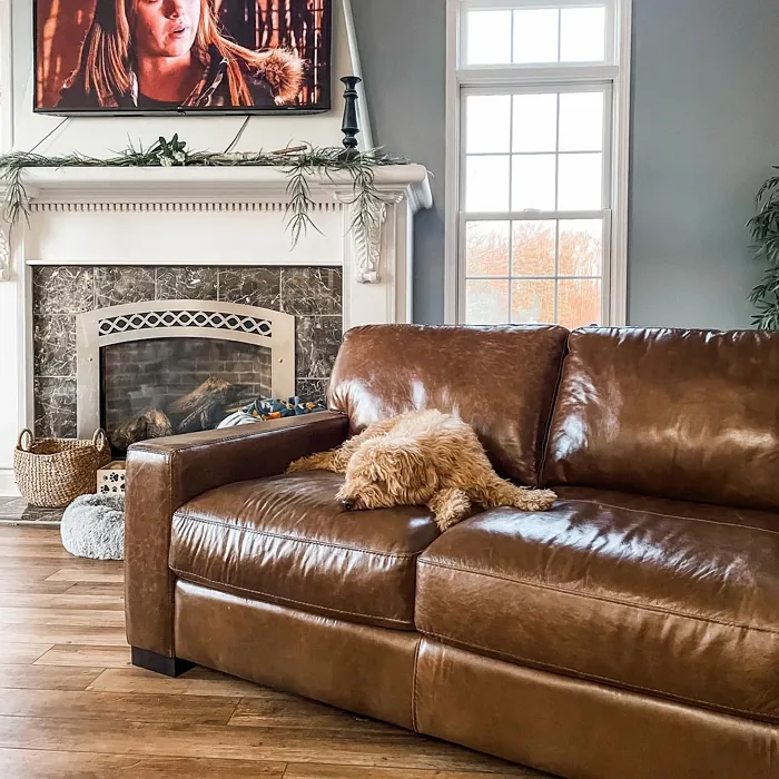 Benjamin Moore Solitude living room color
