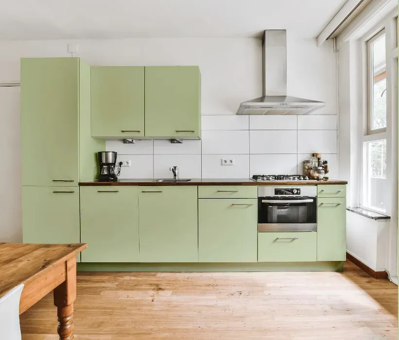 Benjamin Moore Soothing Green kitchen cabinets
