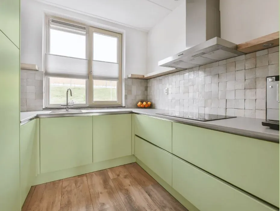 Benjamin Moore Soothing Green small kitchen cabinets