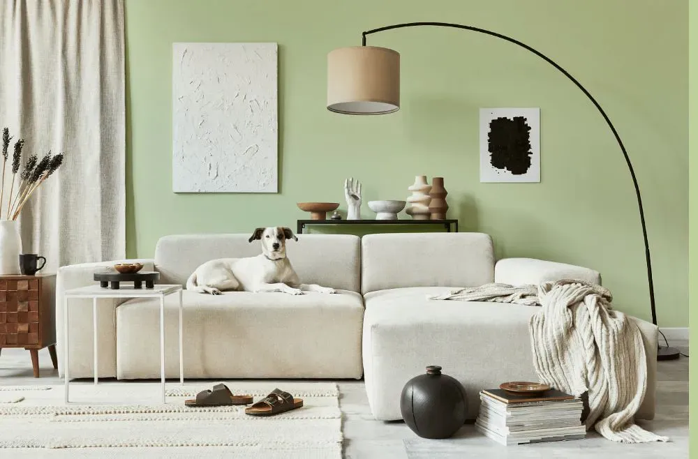 Benjamin Moore Soothing Green cozy living room