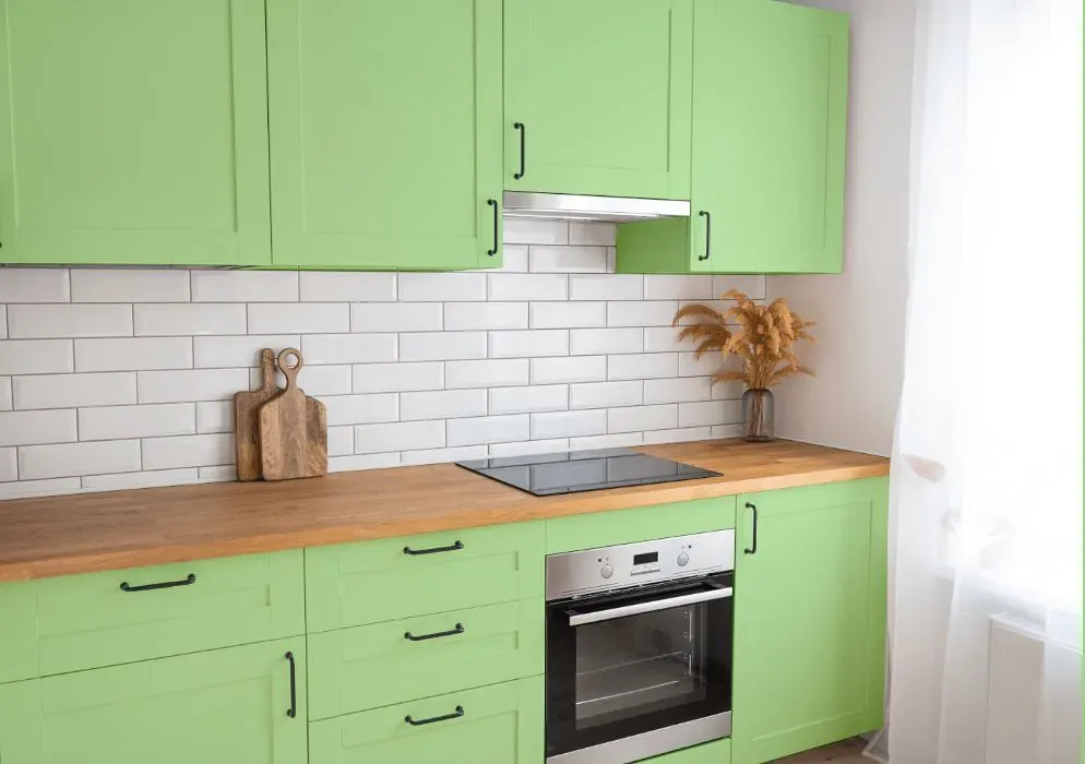 Benjamin Moore Sounds of Nature kitchen cabinets