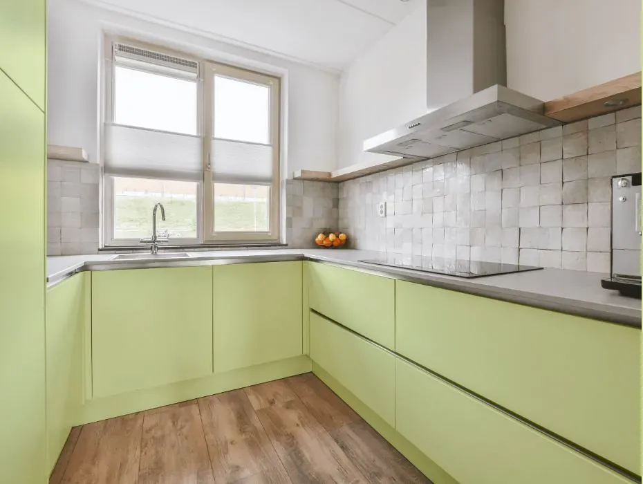 Benjamin Moore Sour Apple small kitchen cabinets