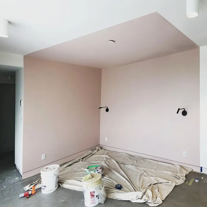 Benjamin Moore Southern Comfort wall paint color-block