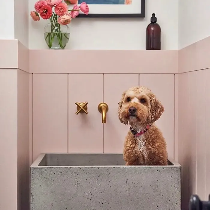 Benjamin Moore Southern Comfort laundry room color