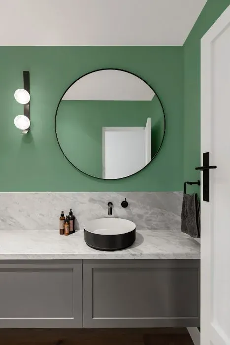 Benjamin Moore Southfield Green minimalist bathroom
