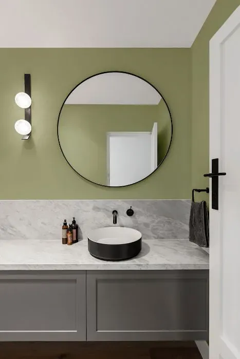 Benjamin Moore Spring has Sprung minimalist bathroom