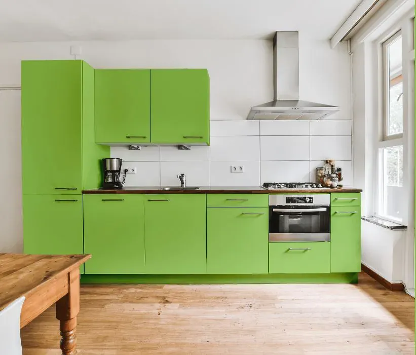 Benjamin Moore Spring Meadow Green kitchen cabinets