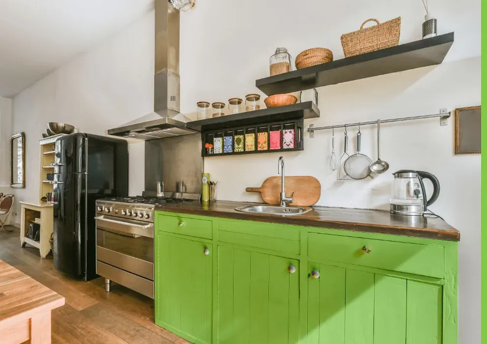 Benjamin Moore Spring Meadow Green kitchen cabinets