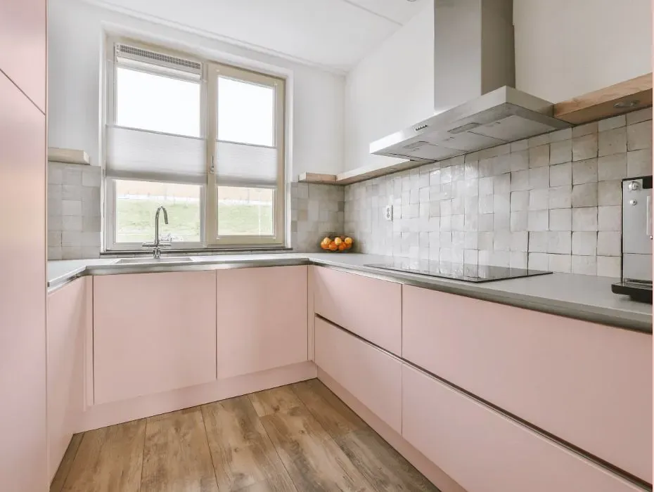 Benjamin Moore Spring Pink small kitchen cabinets