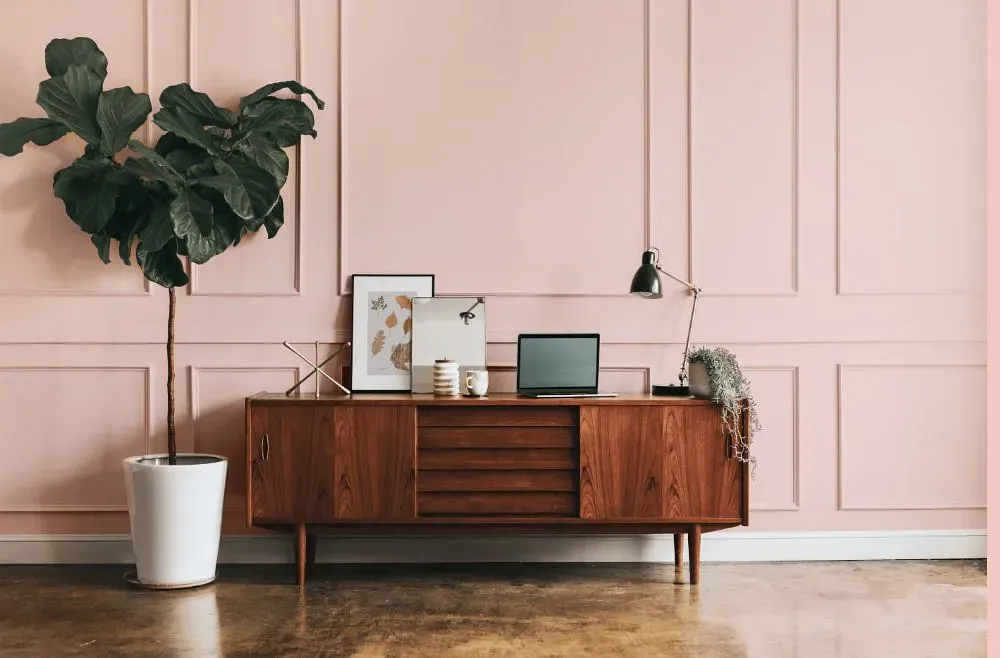 Benjamin Moore Spring Pink modern interior