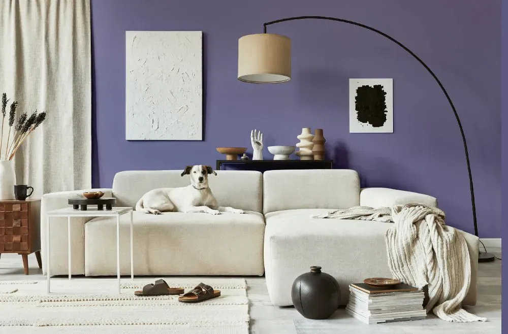 Benjamin Moore Spring Purple cozy living room