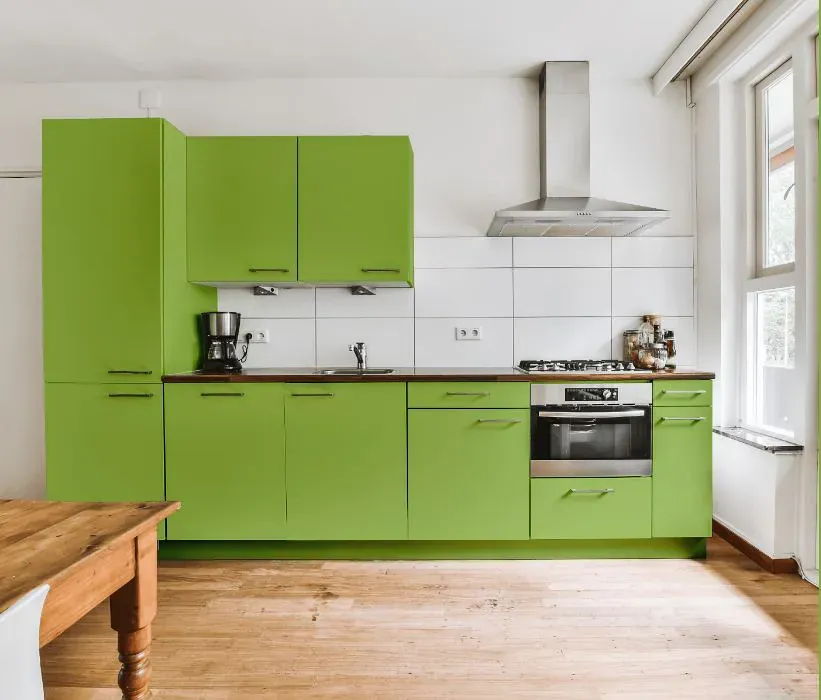 Benjamin Moore Springhill Green kitchen cabinets