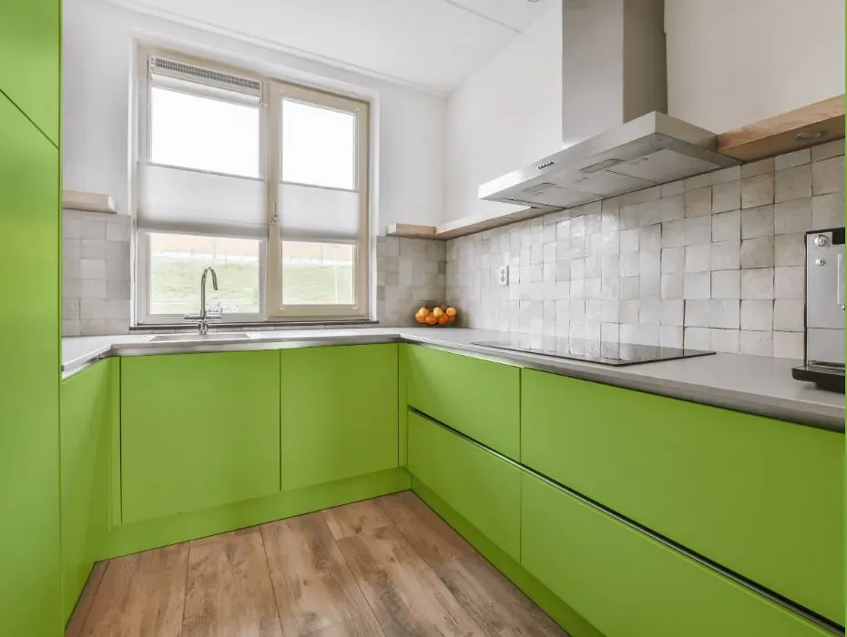 Benjamin Moore Springhill Green small kitchen cabinets