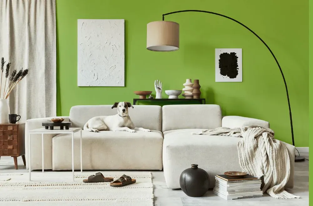 Benjamin Moore Springhill Green cozy living room