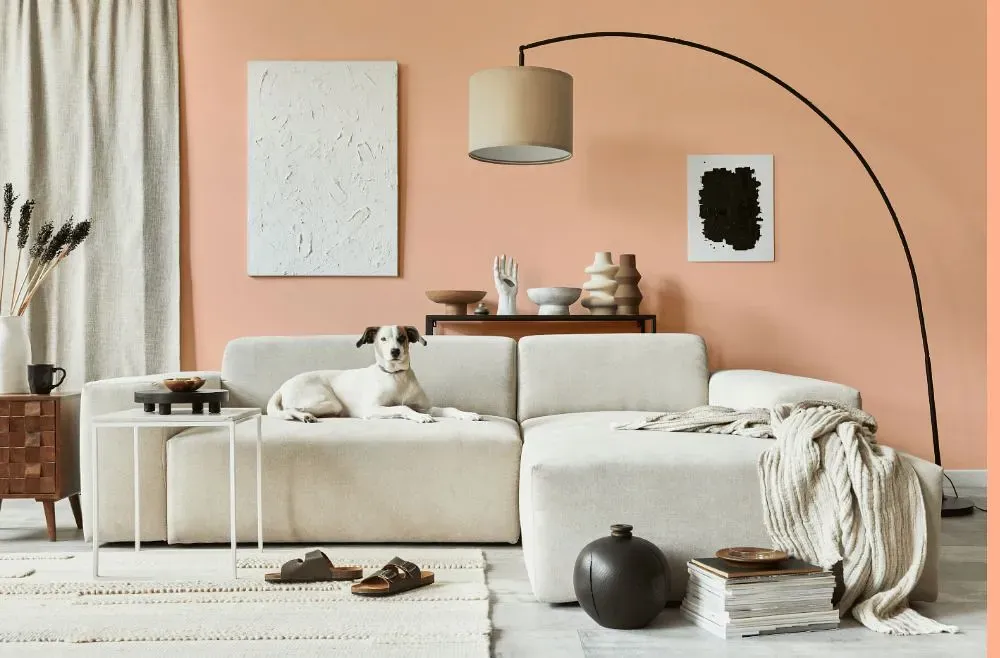 Benjamin Moore Springtime Peach cozy living room