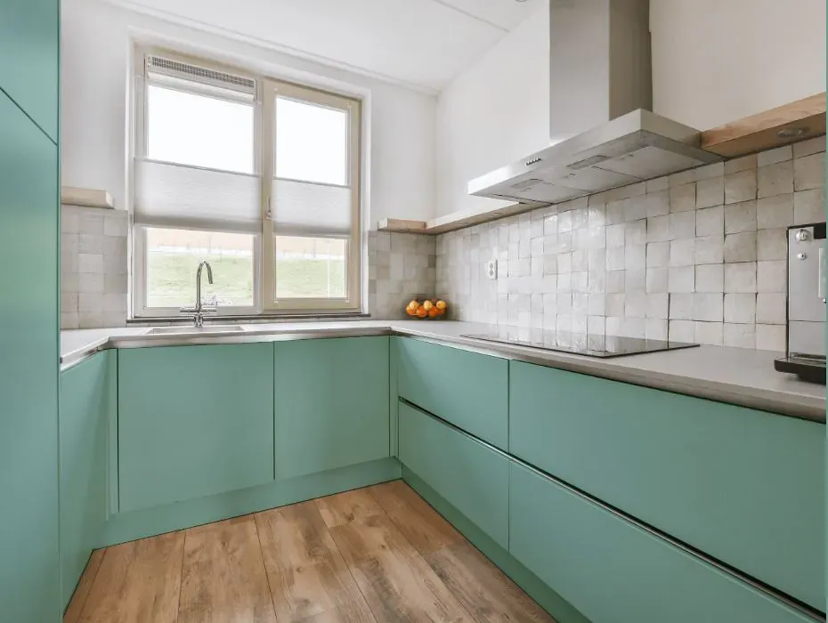 Benjamin Moore St. Lucia Teal small kitchen cabinets