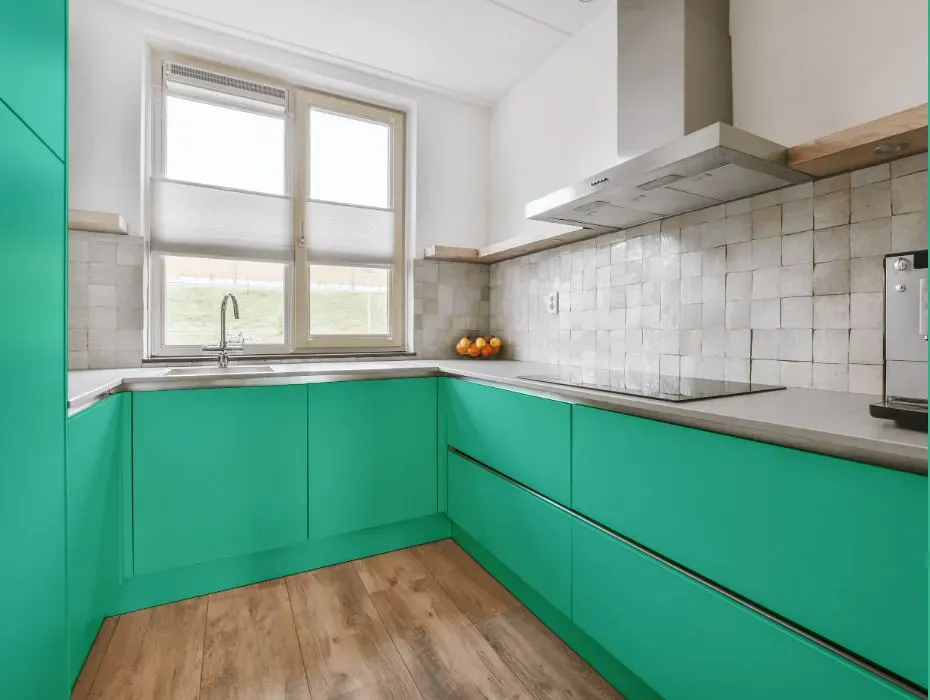 Benjamin Moore St. Patty's Day small kitchen cabinets