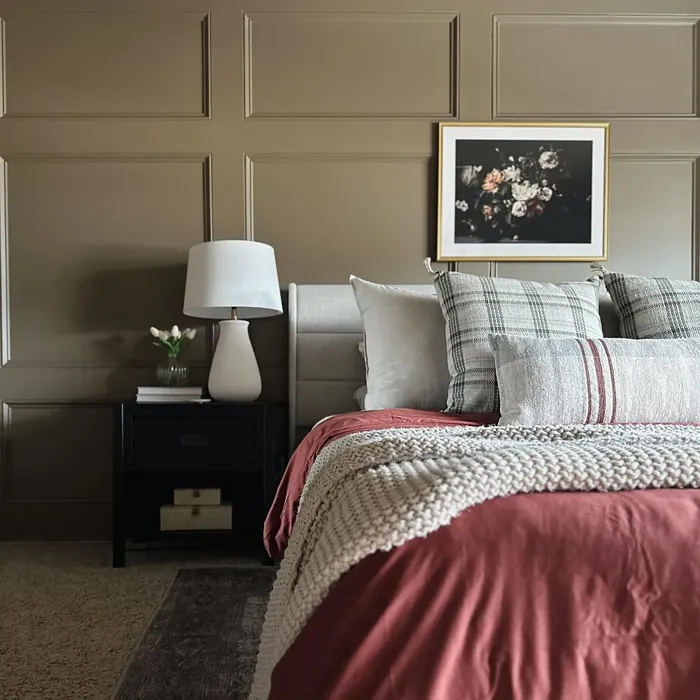 Benjamin Moore Stampede bedroom color review